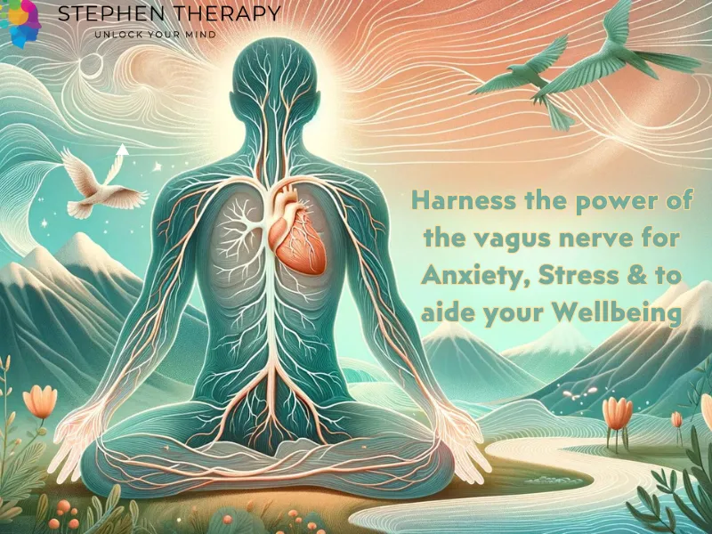Illustration of the Vagus nerve showing its path from the brainstem to the abdomen, surrounded by a serene nature background symbolizing stress relief and well-being.
